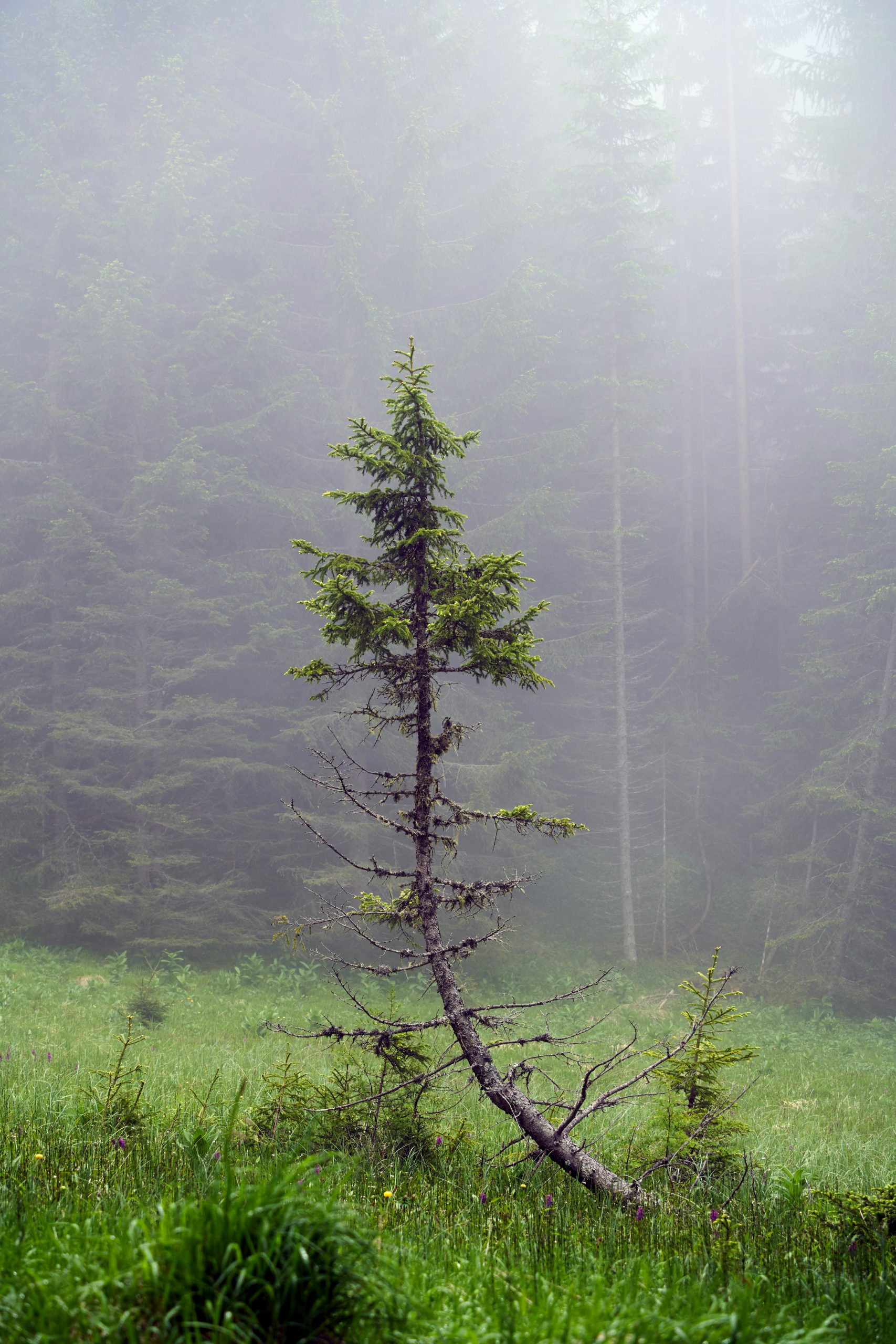 Burnout’s Quiet Disconnection: The Cost of Holding It All Together
