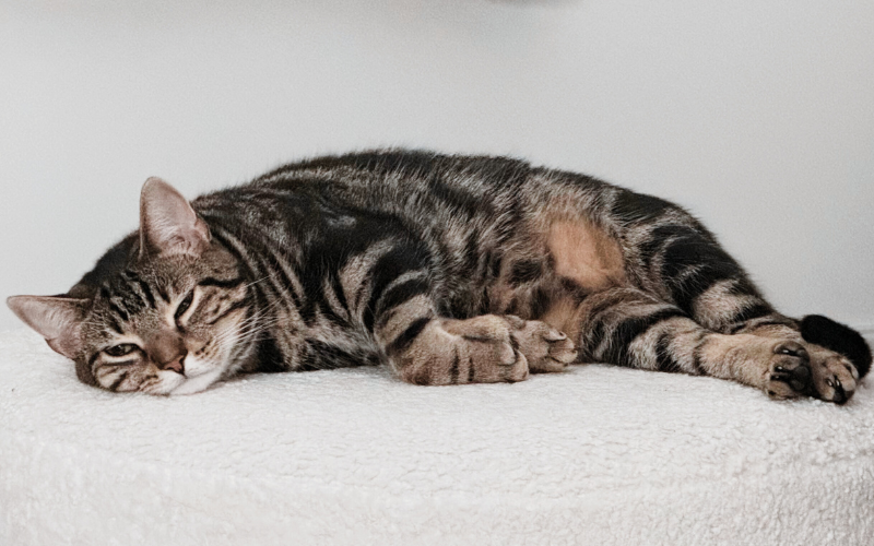 The Pause: A Two-Minute Reset