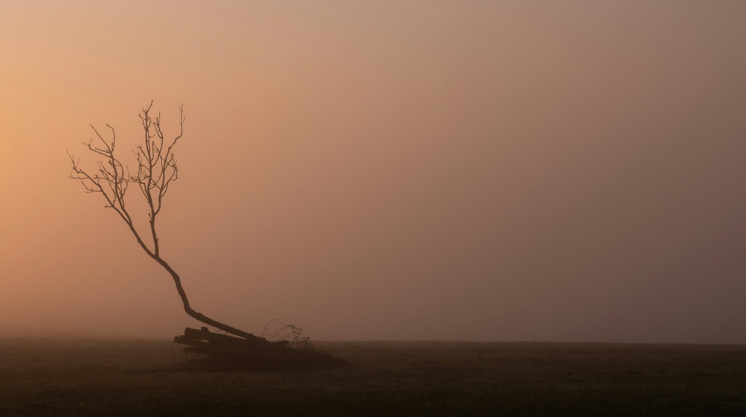 Still Going, But Running on Empty: Understanding Burnout